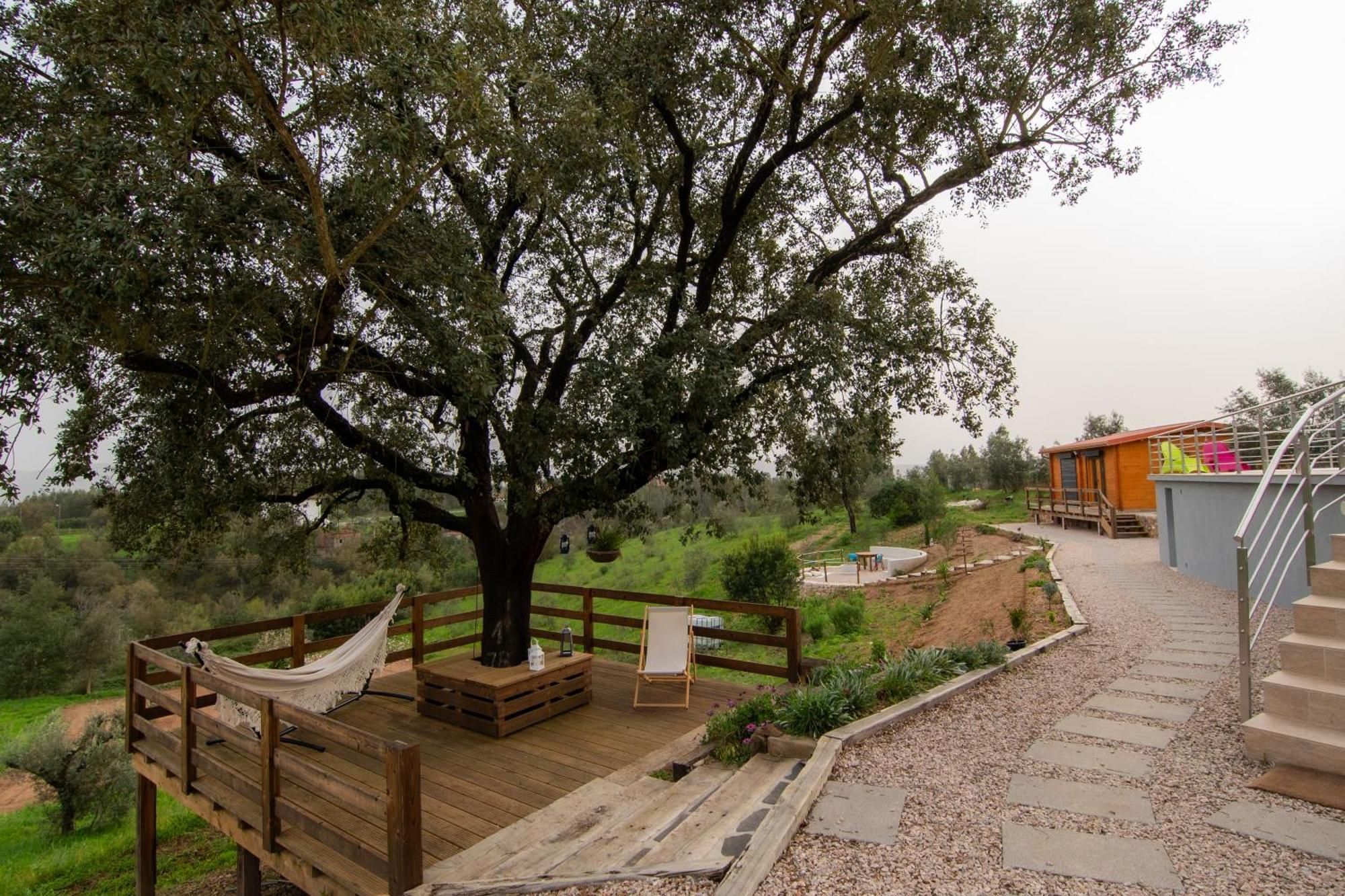 Quinta Do Esteval Penacova Buitenkant foto