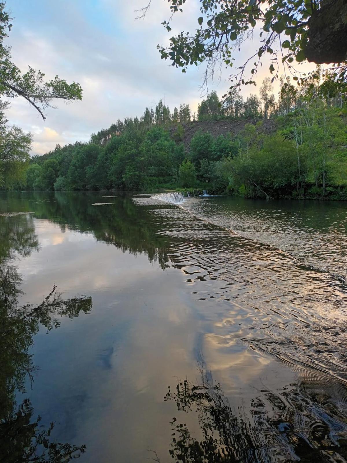 Quinta Do Esteval Penacova Buitenkant foto